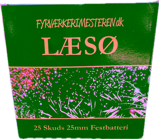 LÆSØ