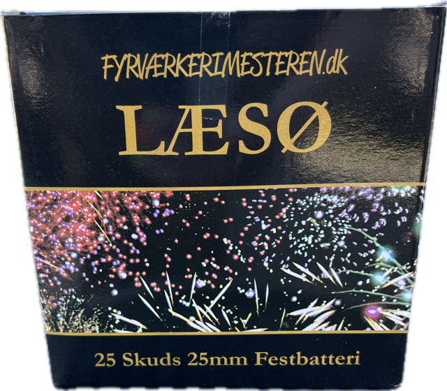 LÆSØ