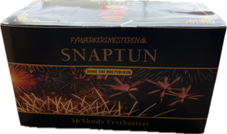 SNAPTUN